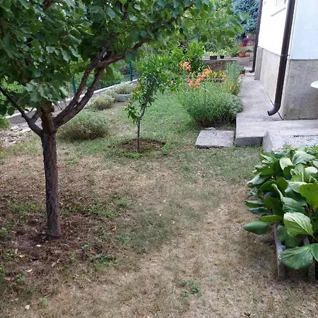 Kuca Za Odmor *